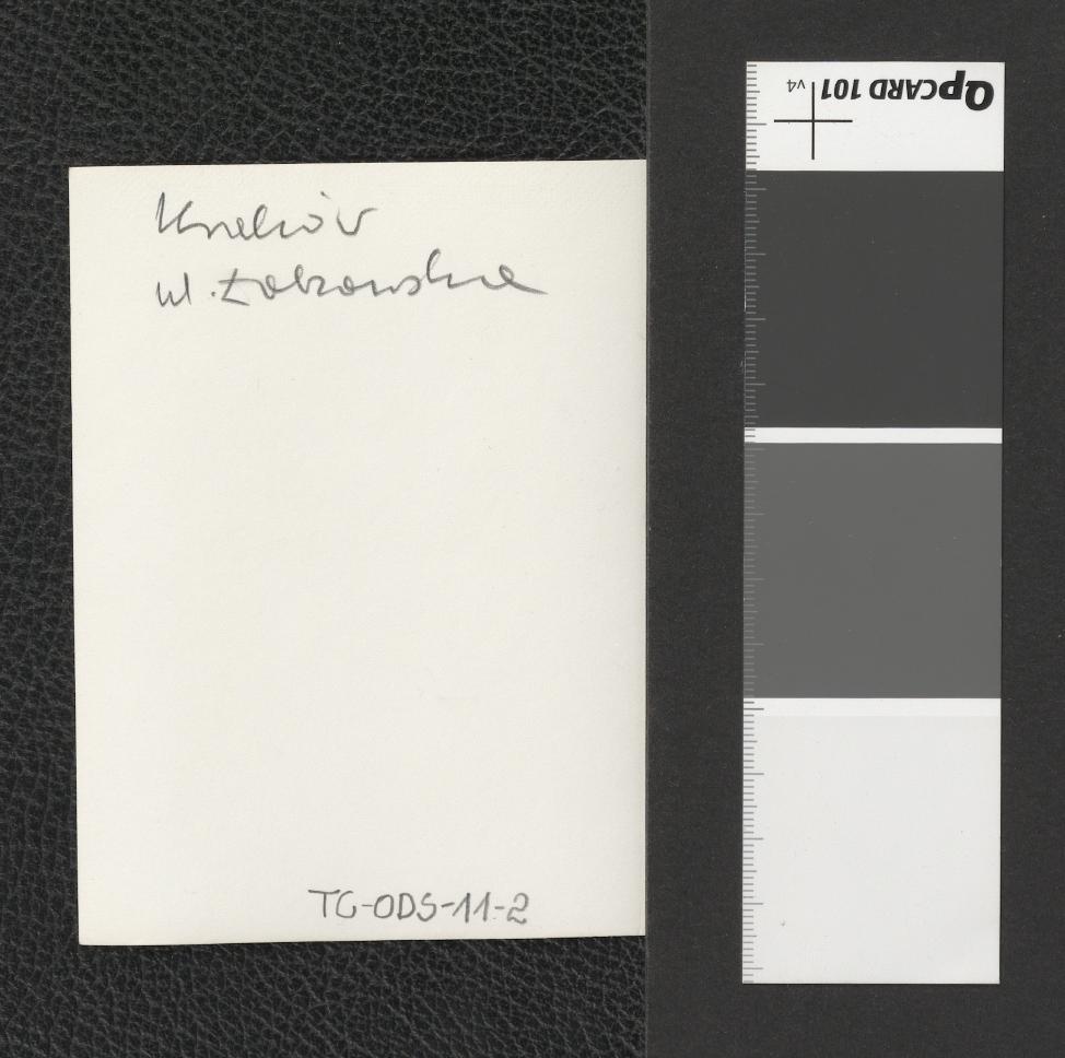 zieleń w otoczemiu szkoły przy ul. Łobzowskiej, skan 2