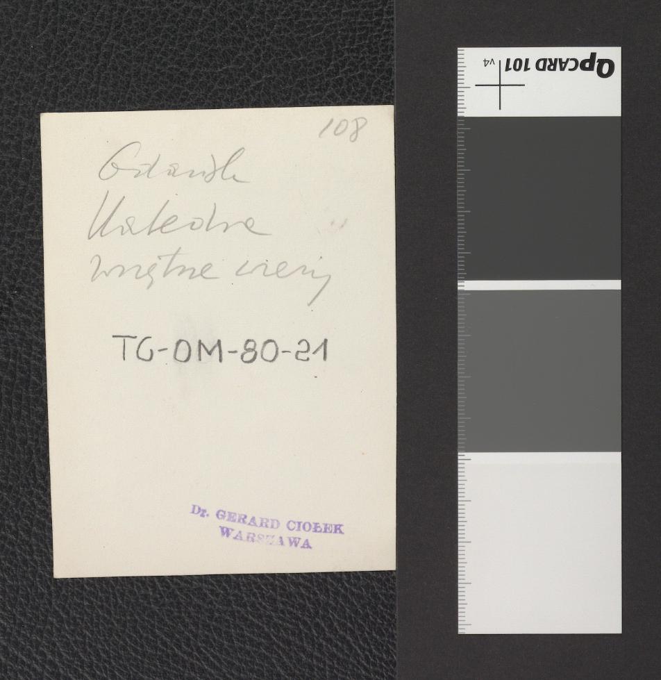 wnętrze wieży katedralnej po przejściu Sowietów, skan 6