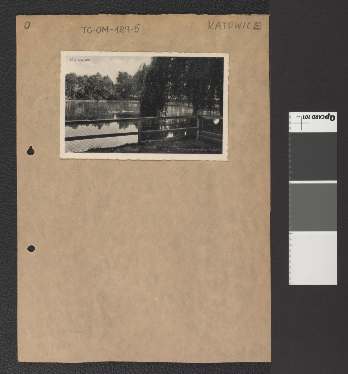 widok stawu w jednym z miejscowych parków, skan 1