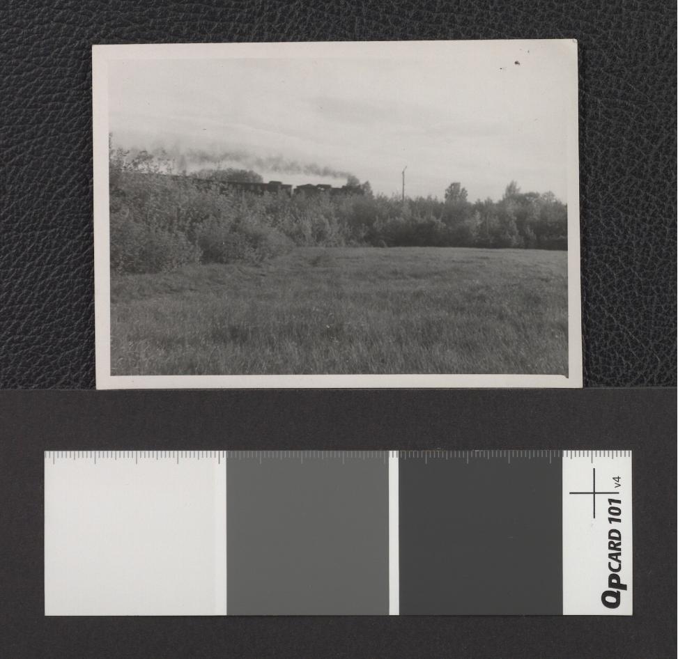 dwubarwne fotografie okolicy wspomnianego parku, skan 1