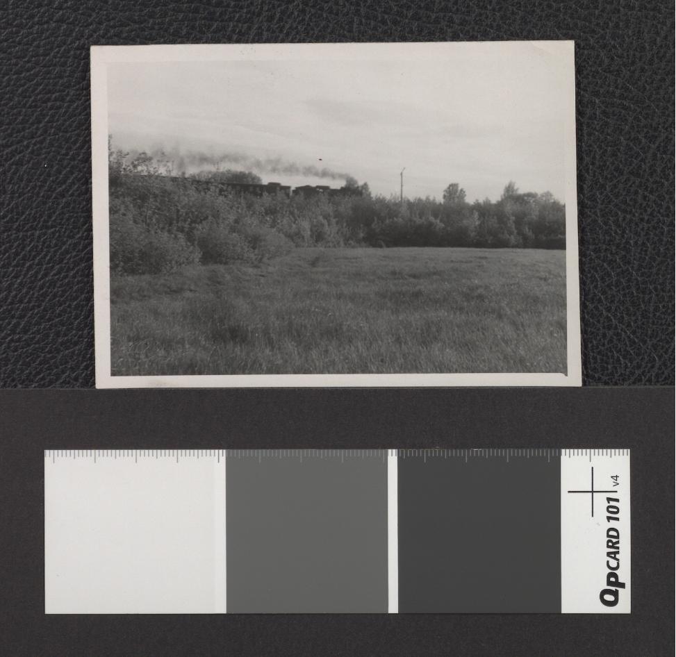 dwubarwne fotografie okolicy wspomnianego parku, skan 5