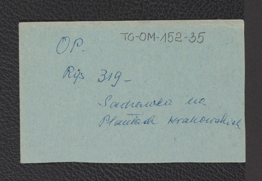 opisy rycin zamieszczonych w pracy G. Ciołka, Ogrody Polski,Warszawa 1954 na stronach 210-211, skan 3