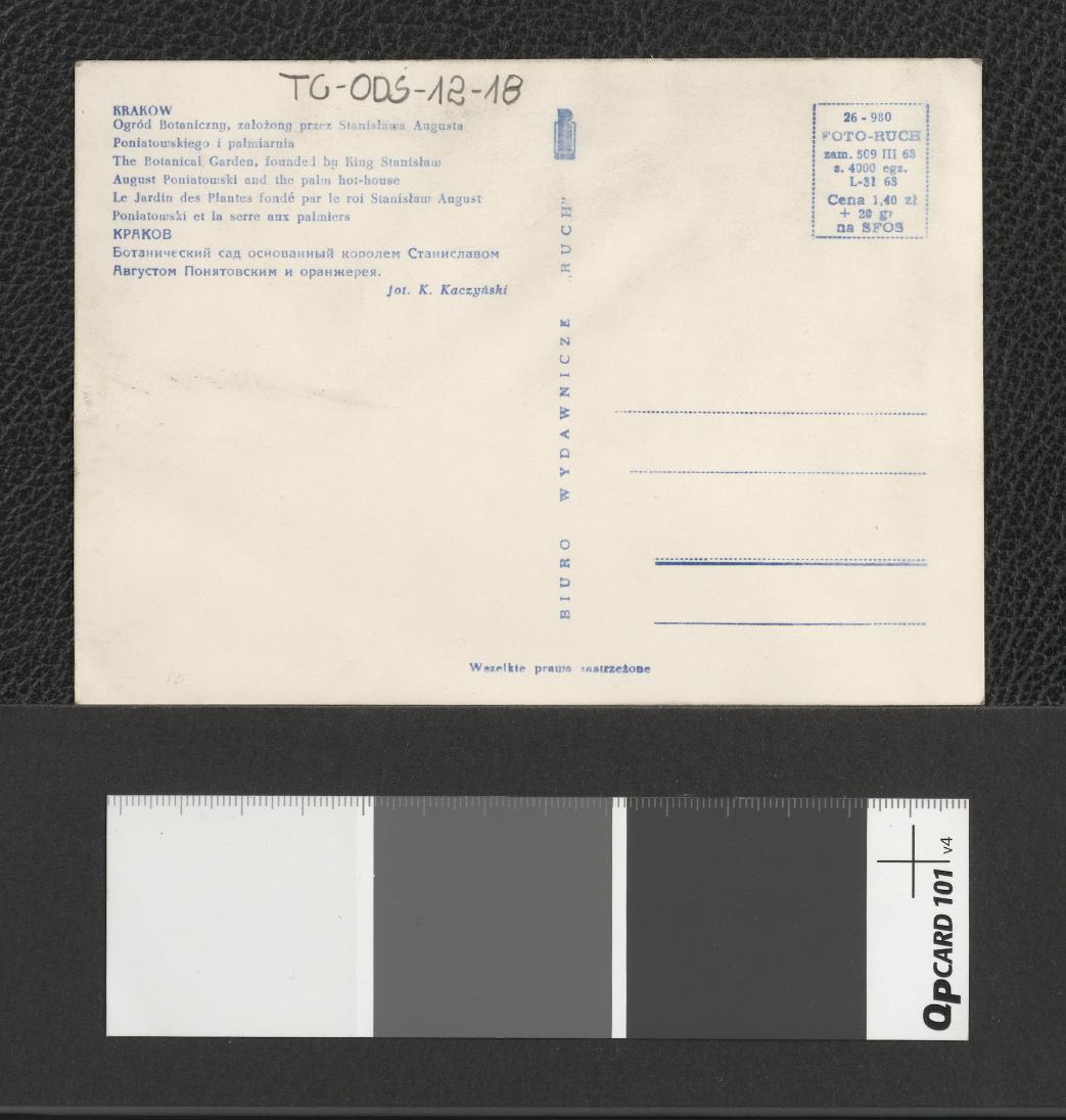 fragment Ogrodu Botanicznego i palmiarni, skan 2