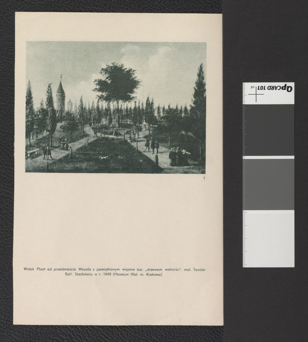 karta z publikacji tematycznej zawierającej reprodukcję litografii autorstwa Henryka Waltera (z ok. 1863 r.) przedstawiającej aleję plant obok Barbakanu i Kleparza; ponadto reprodukcja płótna Teodora Baltazara Stachiewicza przedstawiająca widok plant od przedmieścia Wesoła z pamiątkowym wiązem (tzw. "drzewem wolności"), skan 2