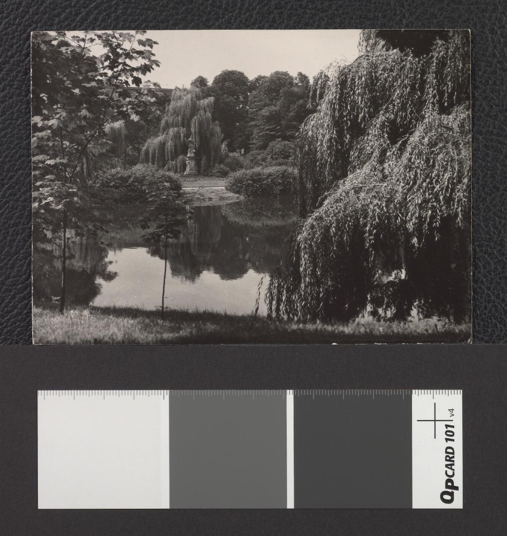park miejski, skan 1