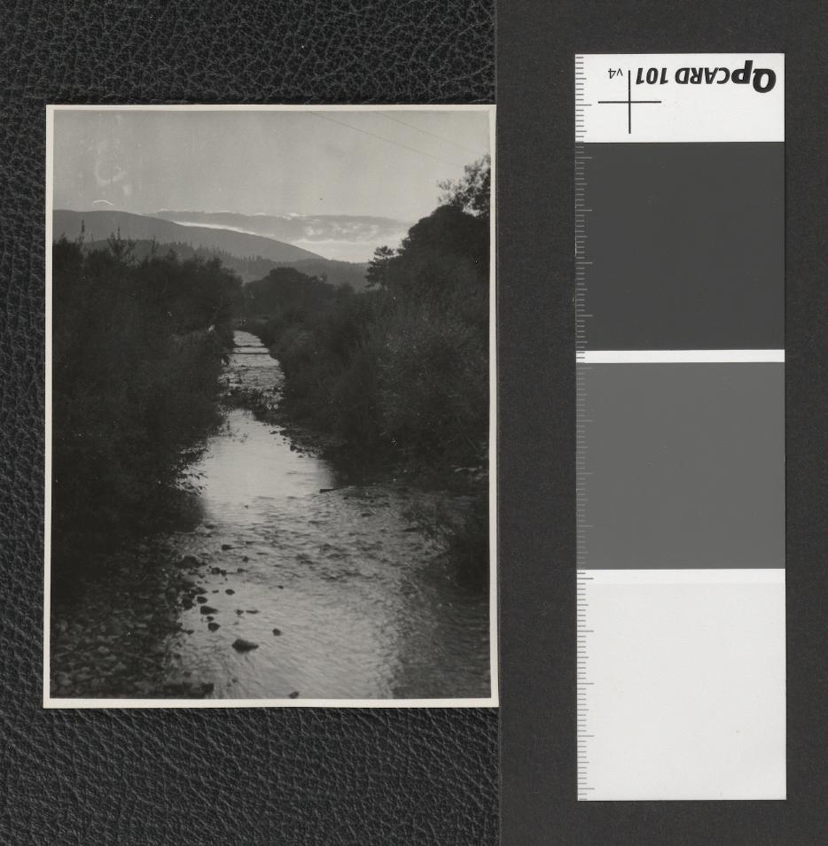 potok górski w okolicach Zubrzycy Górnej (?), skan 1