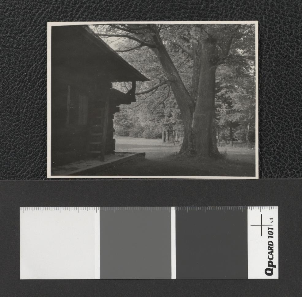 obiekty budownictwa drewnianego na terenie skansenu w Zubrzycy Górnej , skan 1