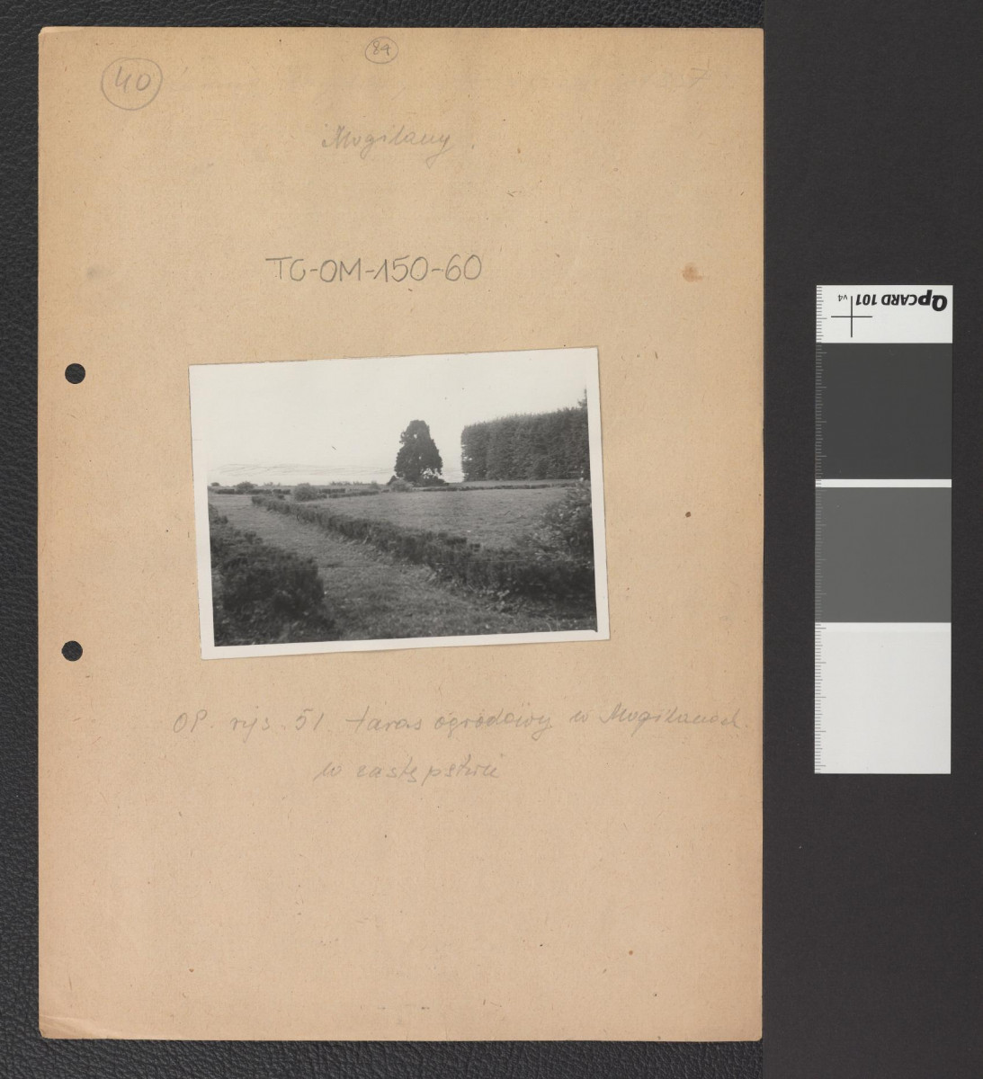 taras ogrodowy w Mogilanach, skan 1