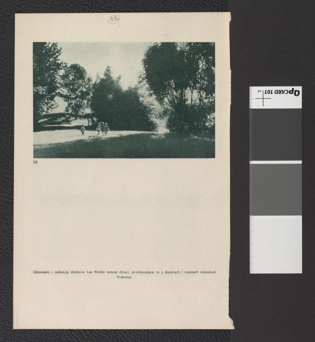 karta z publikacji tematycznej zawierająca reprodukcję fotografii czarno-białej przedstawiającej widok na Wisłę z Lasu Wolskiego; na odwrocie Las Wolski, skan 2