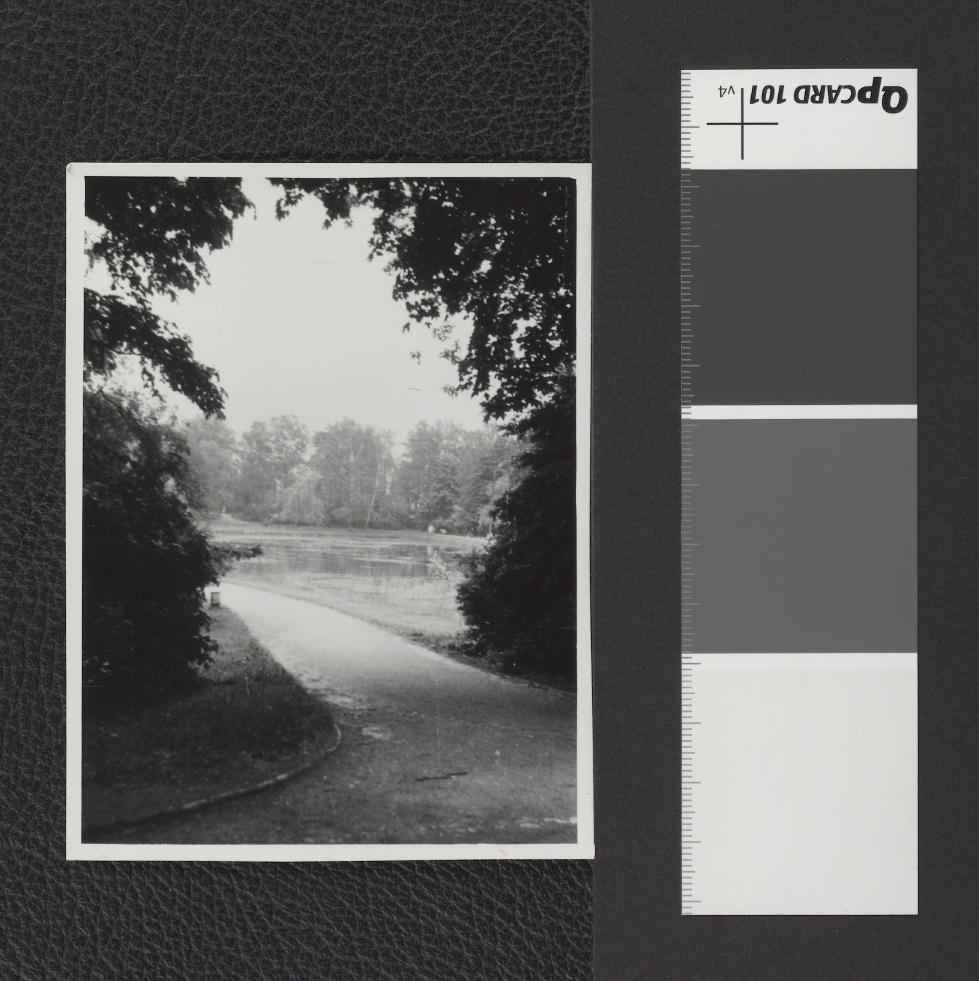 dróżka wzdłuż stawu, skan 1