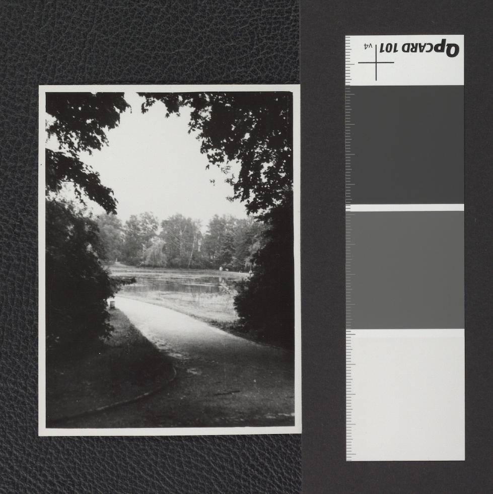 dróżka wzdłuż stawu, skan 2