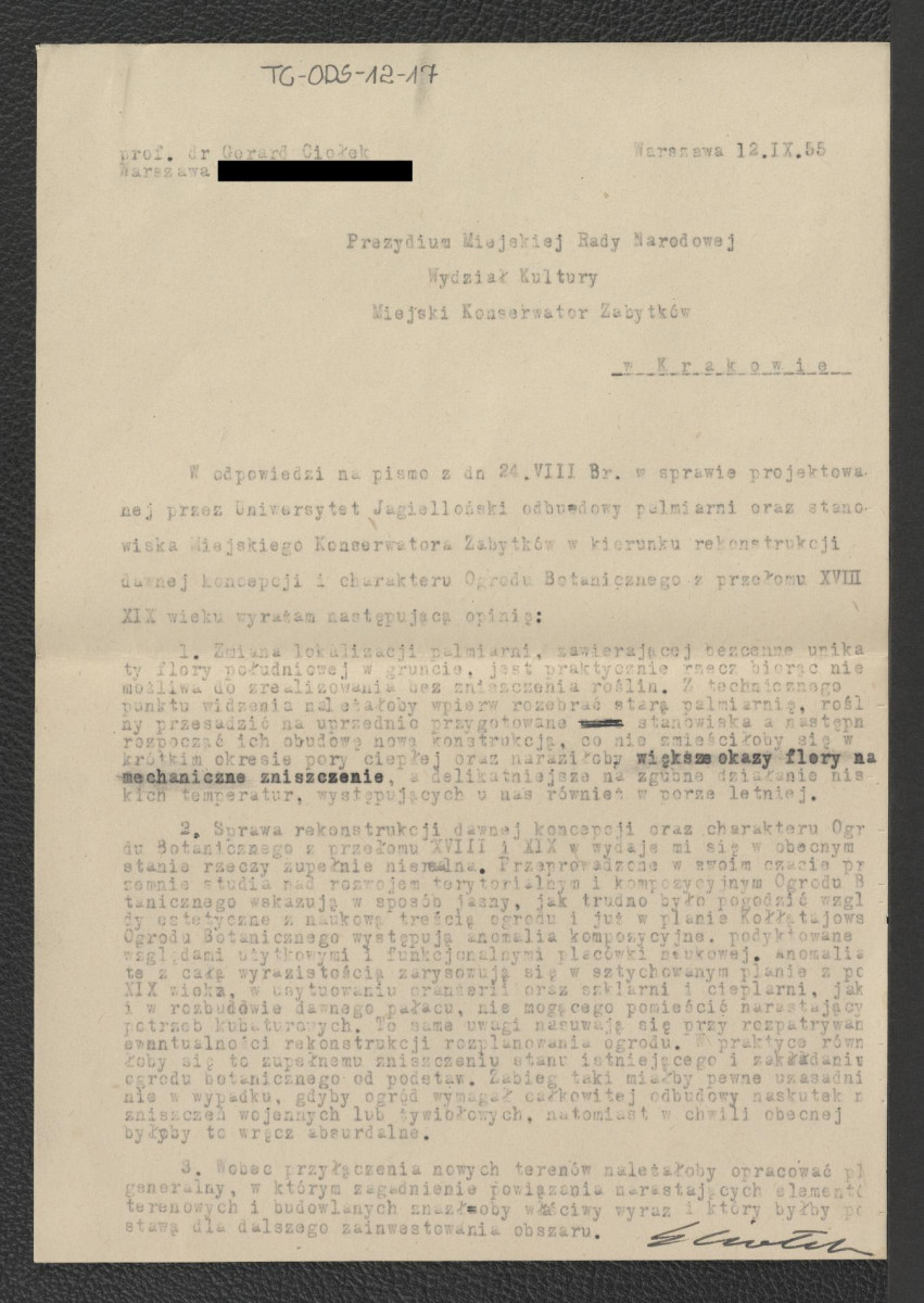 opinia prof. Gerarda Ciołka z dnia 12 września 1955 r. skierowana do Prezydium Miejskiej Rady Narodowej w Krakowie w sprawie odbudowy palmiarni w ogrodzie botanicznym , skan 1