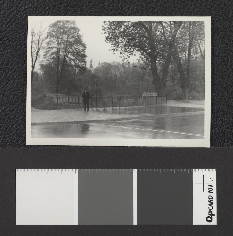 fragment miejscowego parku, skan 1