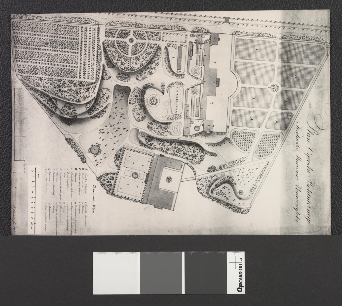 plan Ogrodu Botanicznego z 1927 roku (dwie odbitki dwubarwnej fotografii za zbiorów Pracowni Fotomikrofilmowej Archiwum Dokumentacji Mechanicznej), skan 1