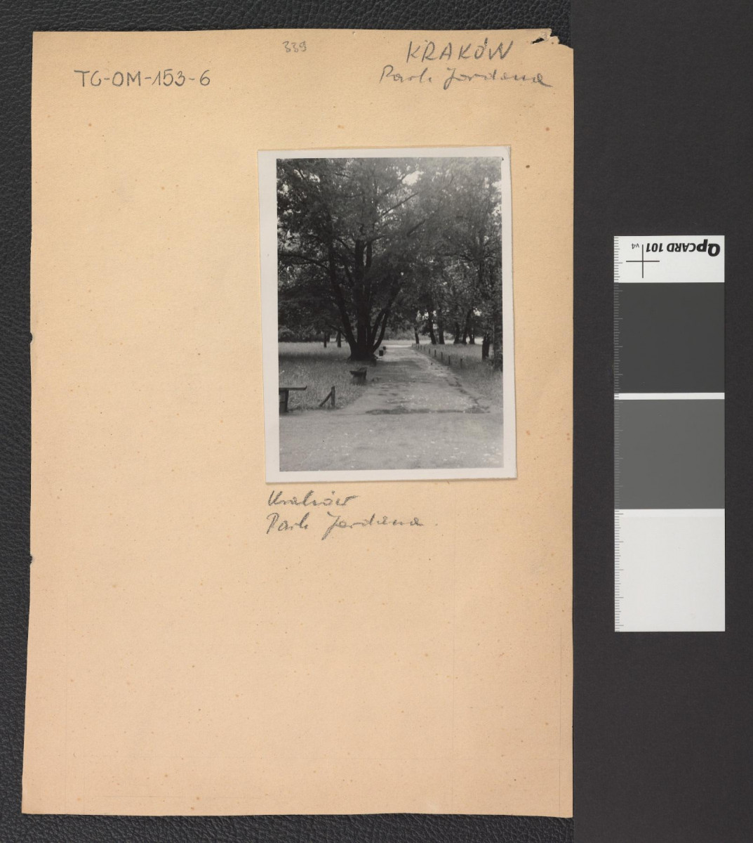 widok alejki parkowej, skan 1