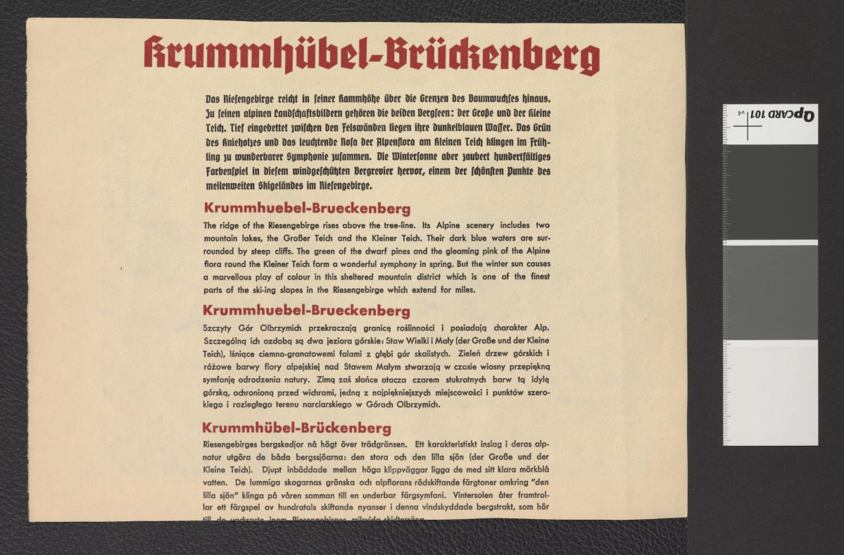 dwubarwna reprodukcja fotografii zawieszczonej w niemieckojęzycznej publikacji przedstawiająca fragment parterów ogrodowych, skan 2