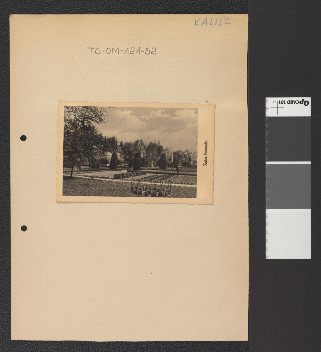 miejscowa oranżeria, skan 1