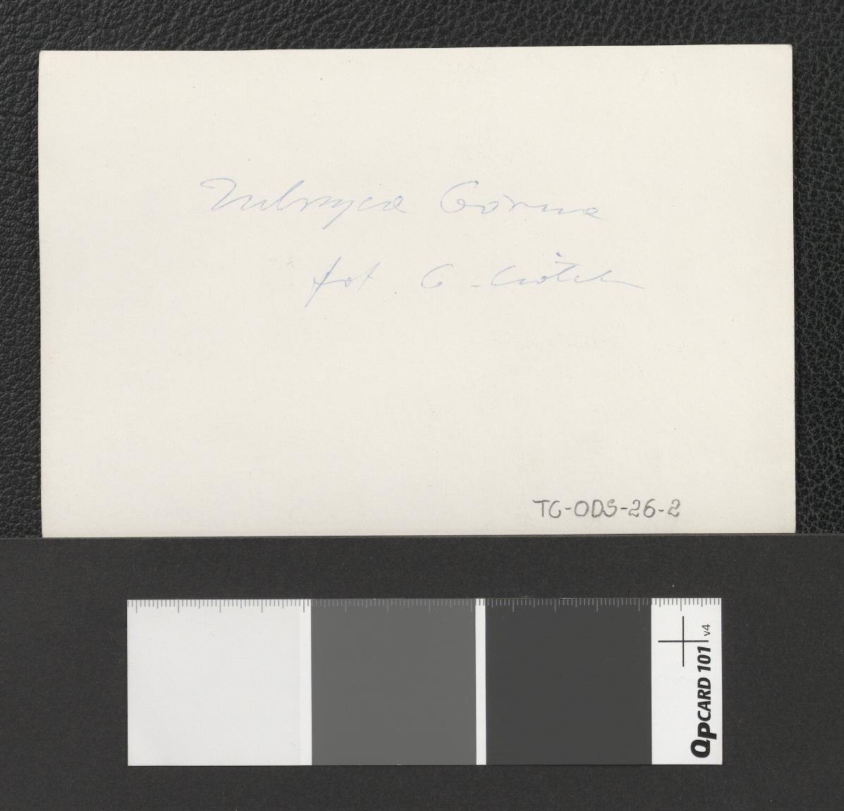 przykłady wiejskiego budownictwa drewnianego znajdujące się w Orawskim Parku Etnograficznym, skan 4