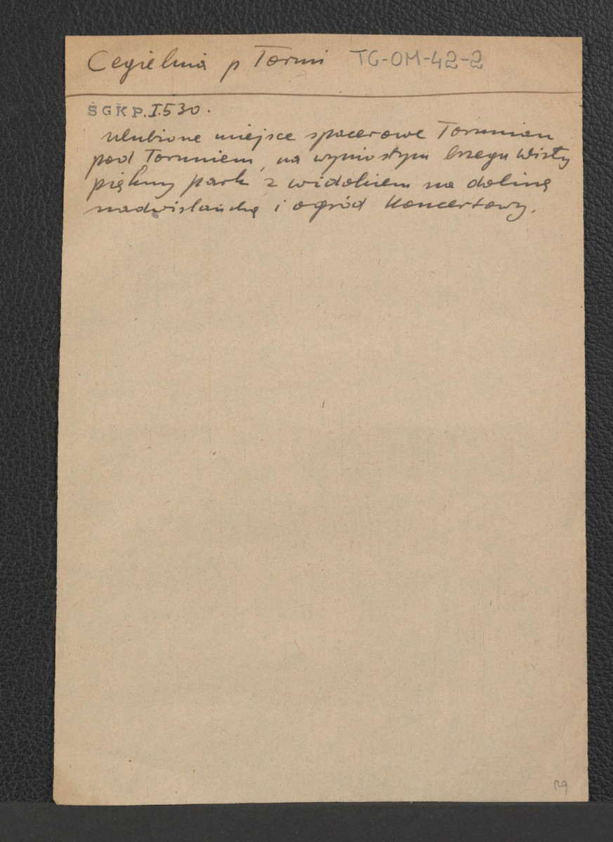 odsyłacz do Słownika Geograficznego Królestwa Polskiego t. I, s. 530 wzmiankujący ulubione miejsce spacerowe torunian w postaci parku usytuowanego nad Wisłą, skan 1