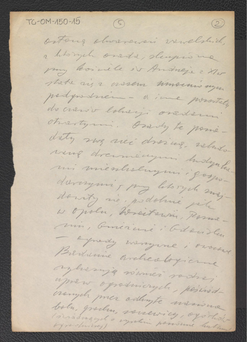 notatka dotycząca roślinności w okolicach Wawelu, skan 1