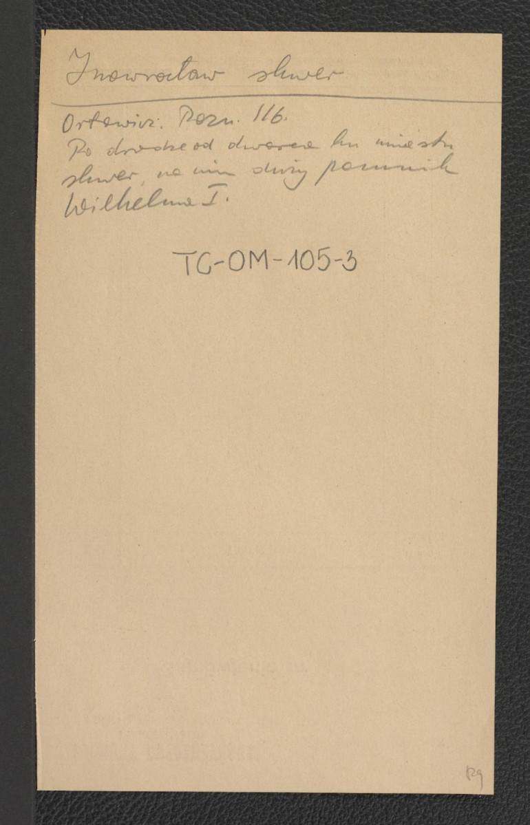 odsyłacz do Orłowicz M., Ilustrowany przewodnik po poznańskiem, Lwów-Warszawa 1920, s. 116 wzmiankujący skwer na drodze do dworca, a na nim pomnik Wilhelma I, skan 1