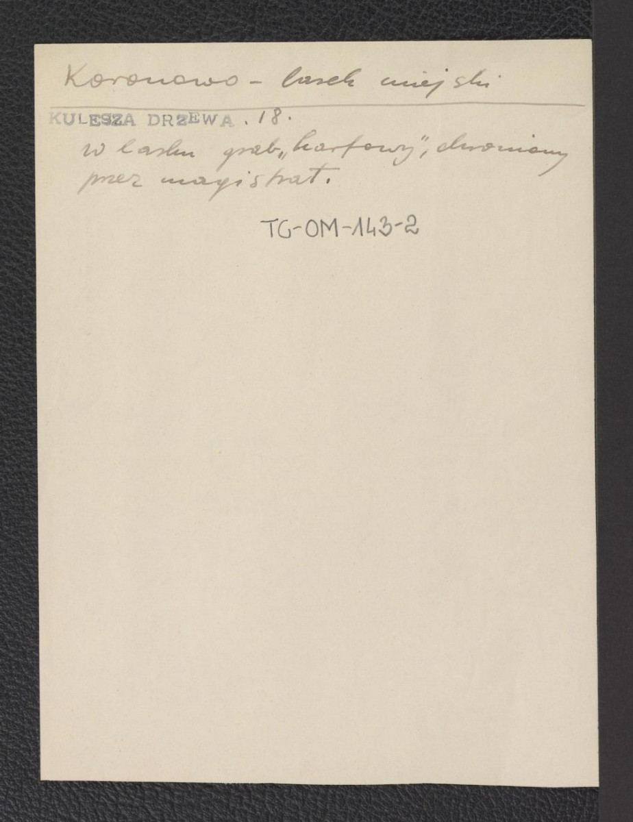 odsyłacz do Kulesza W., Klucz do oznaczenia drzew i krzewów, Warszawa 1952, s. 18 wzmiankujący miejscowy lasek, skan 1