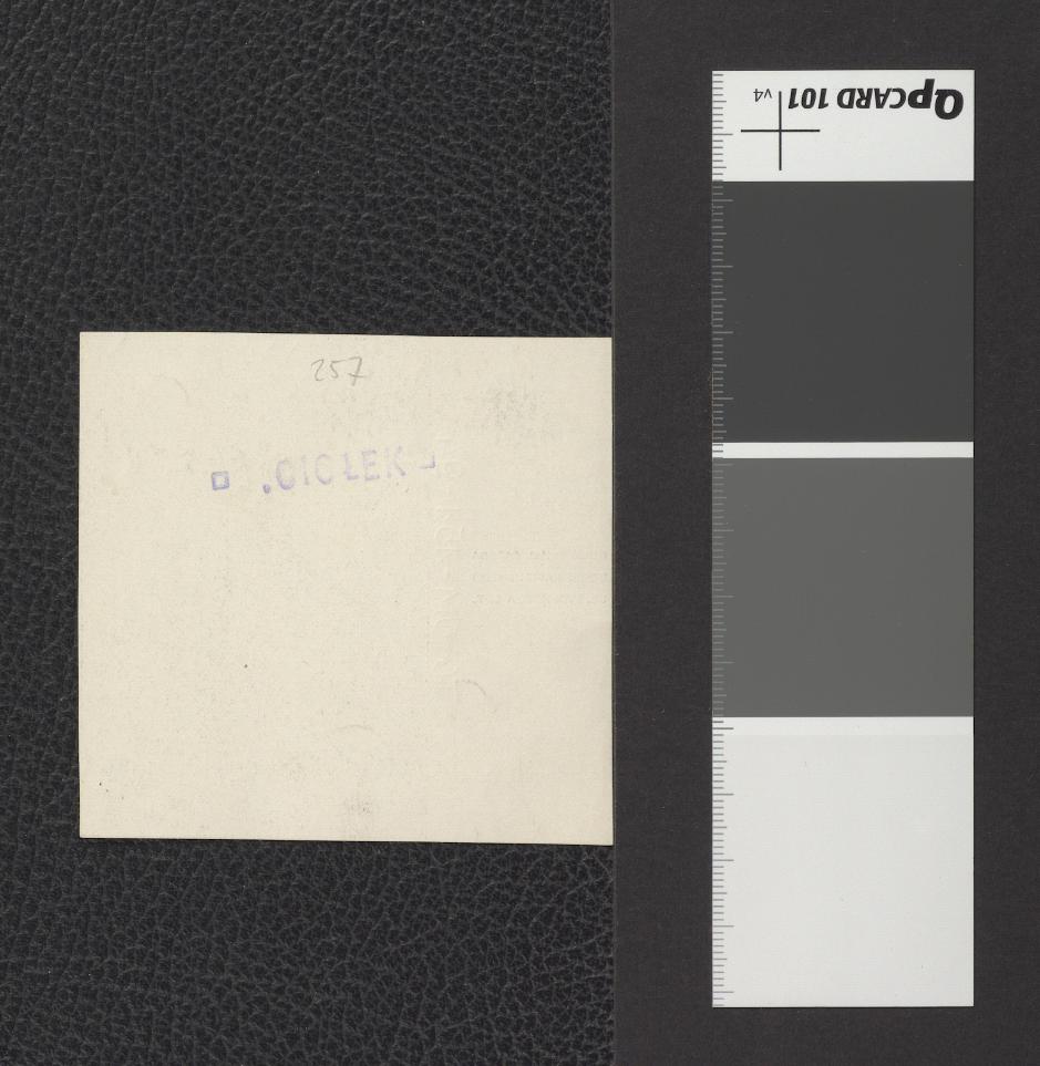 wycinek z „Czech” 1908 zawierający reprodukcję fotografii czarno-białej; przedstawia odnowoną fasadę Domu Kapitulnego przy ul. Kanoniczej 7, skan 2