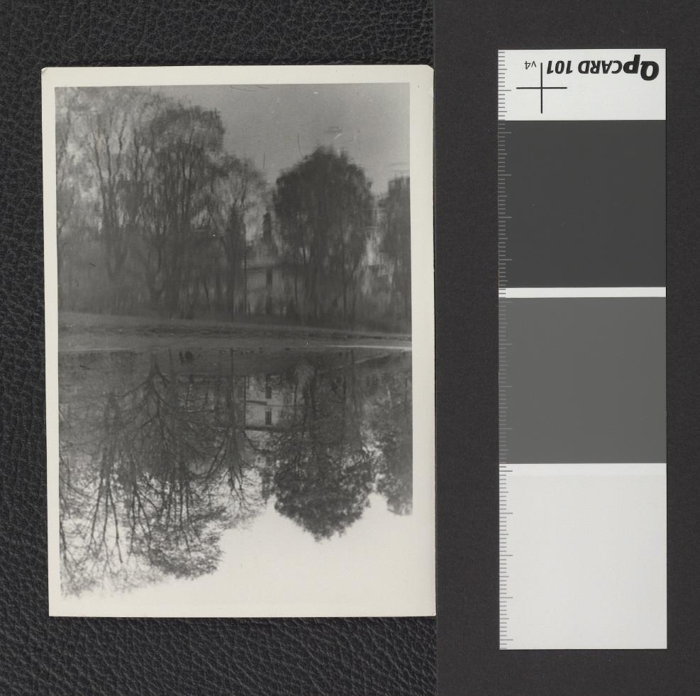 staw oraz widoczne w tle zabudowania parkowe, skan 1