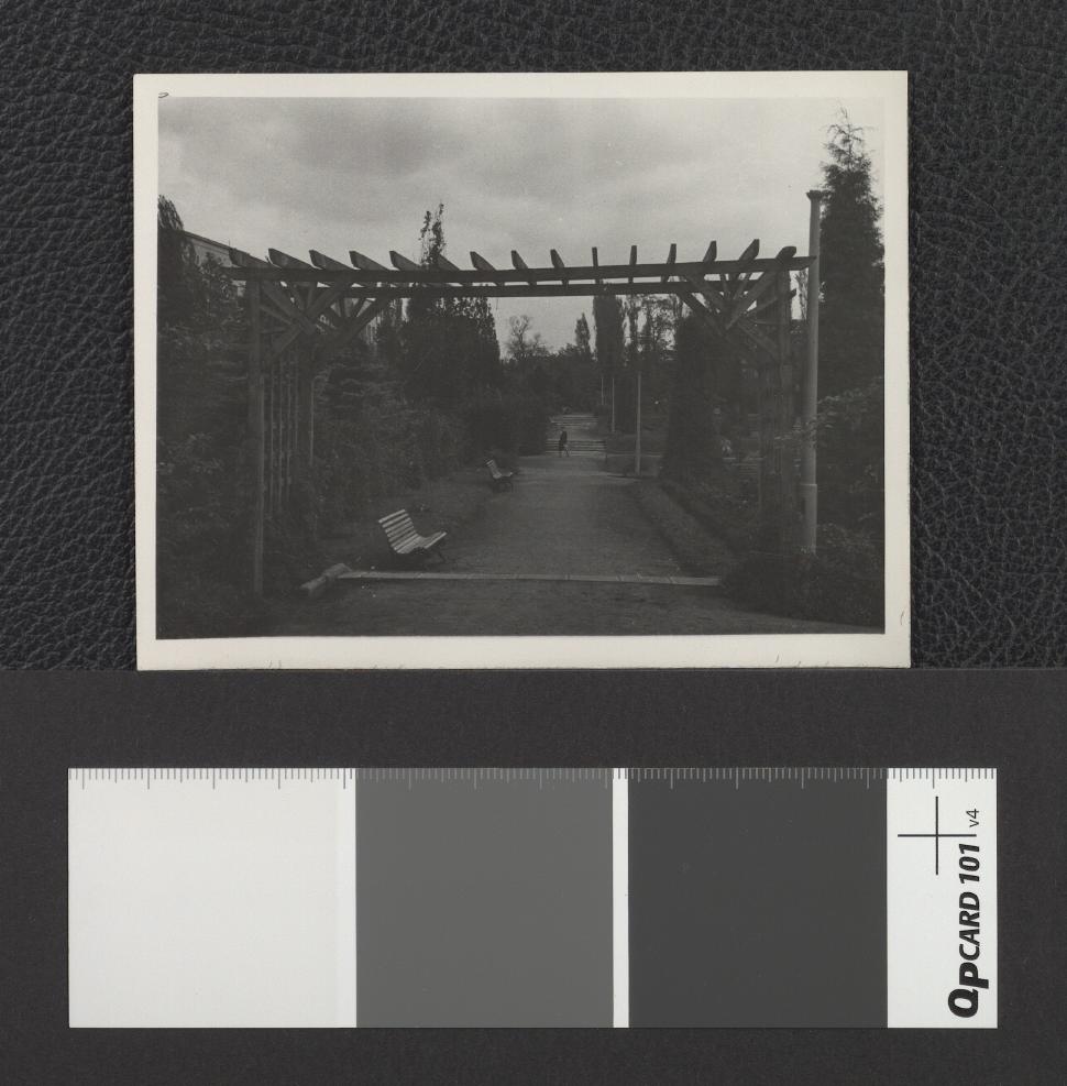 fragment parku, skan 1