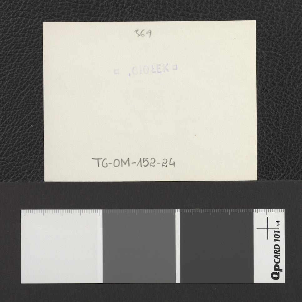 pomnik Grażyny i Litawora, skan 2