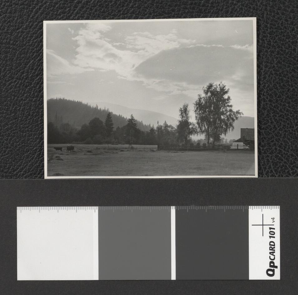 wzgórza w okolicach Zubrzycy Górnej (Beskid Żywiecko-Orawski), skan 1