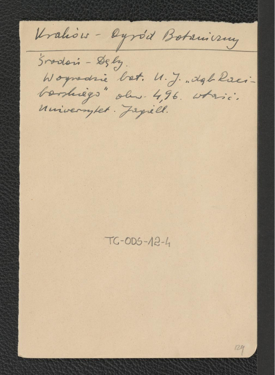 wzmianka o dębie znajdującym w ogrodzie botanicznym Uniwersytetu Jagiellońskiego na podstawie Środoń Andrzej, Dęby, skan 1