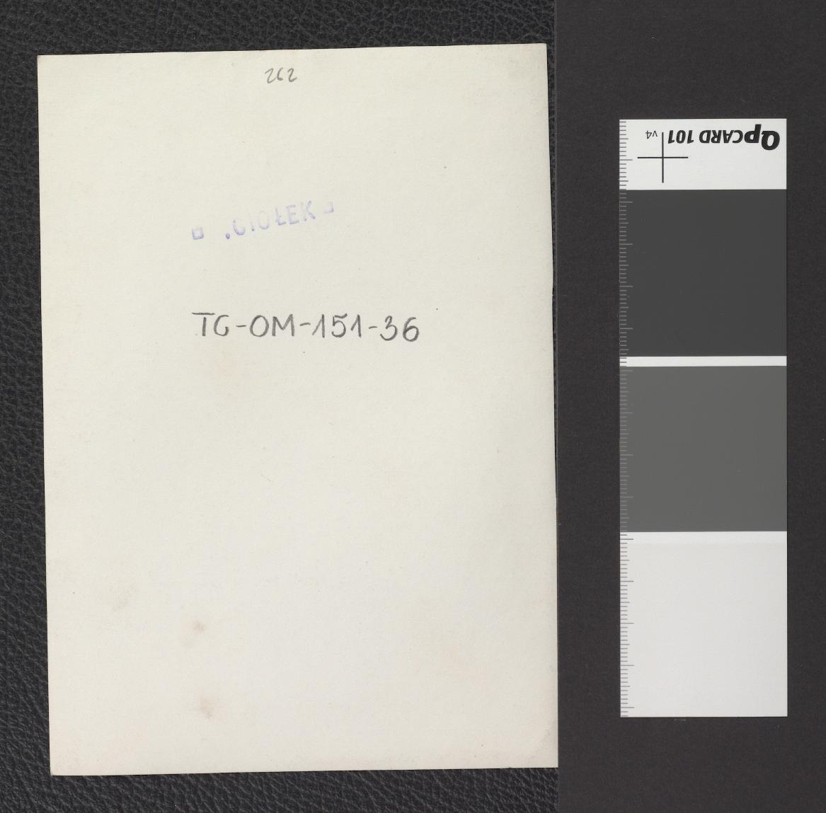 Brama Floriańska, skan 2