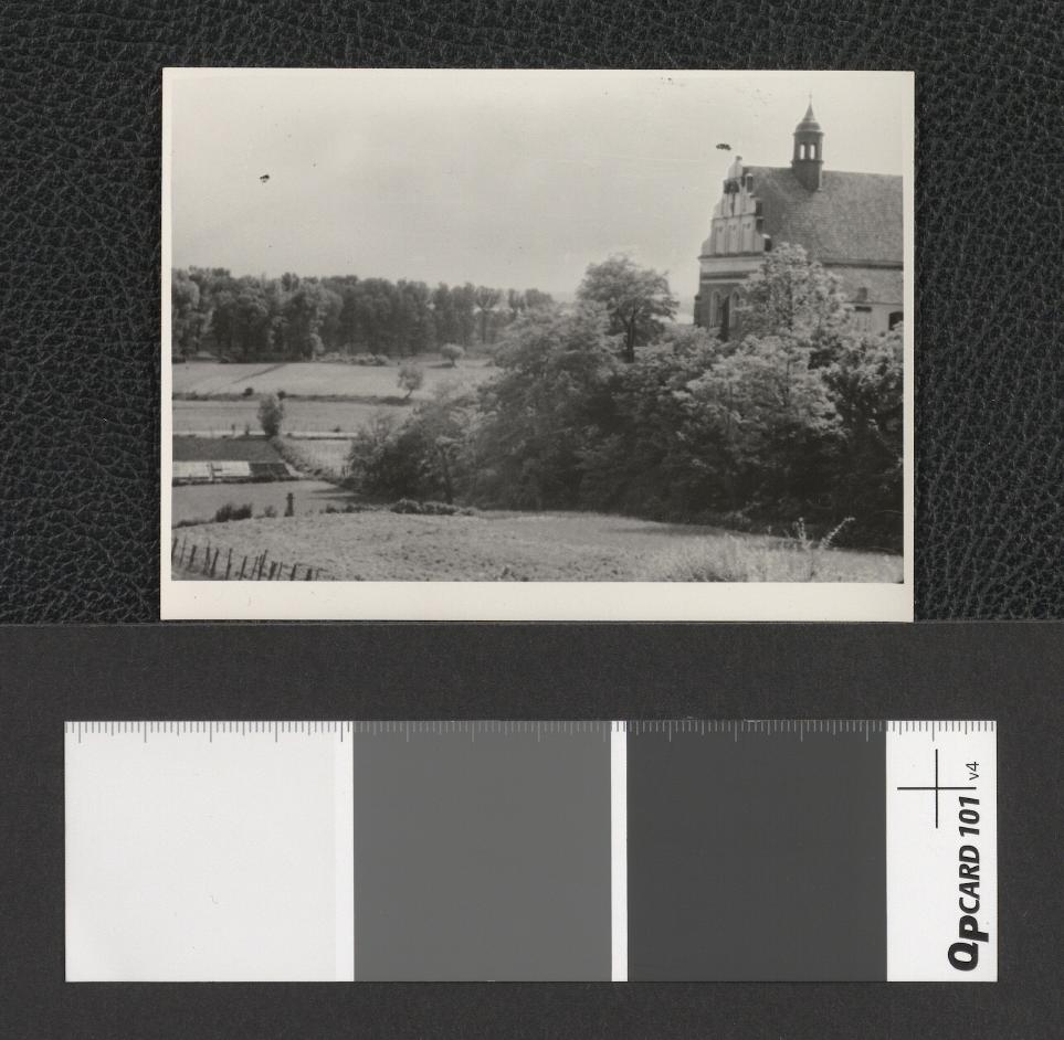widok na roślinność w okolicy miejscowego kościoła prawdopodobnie pod wezwaniem Podwyższenia Najświętszego Krzyża (fotografia dwubarwna), skan 1