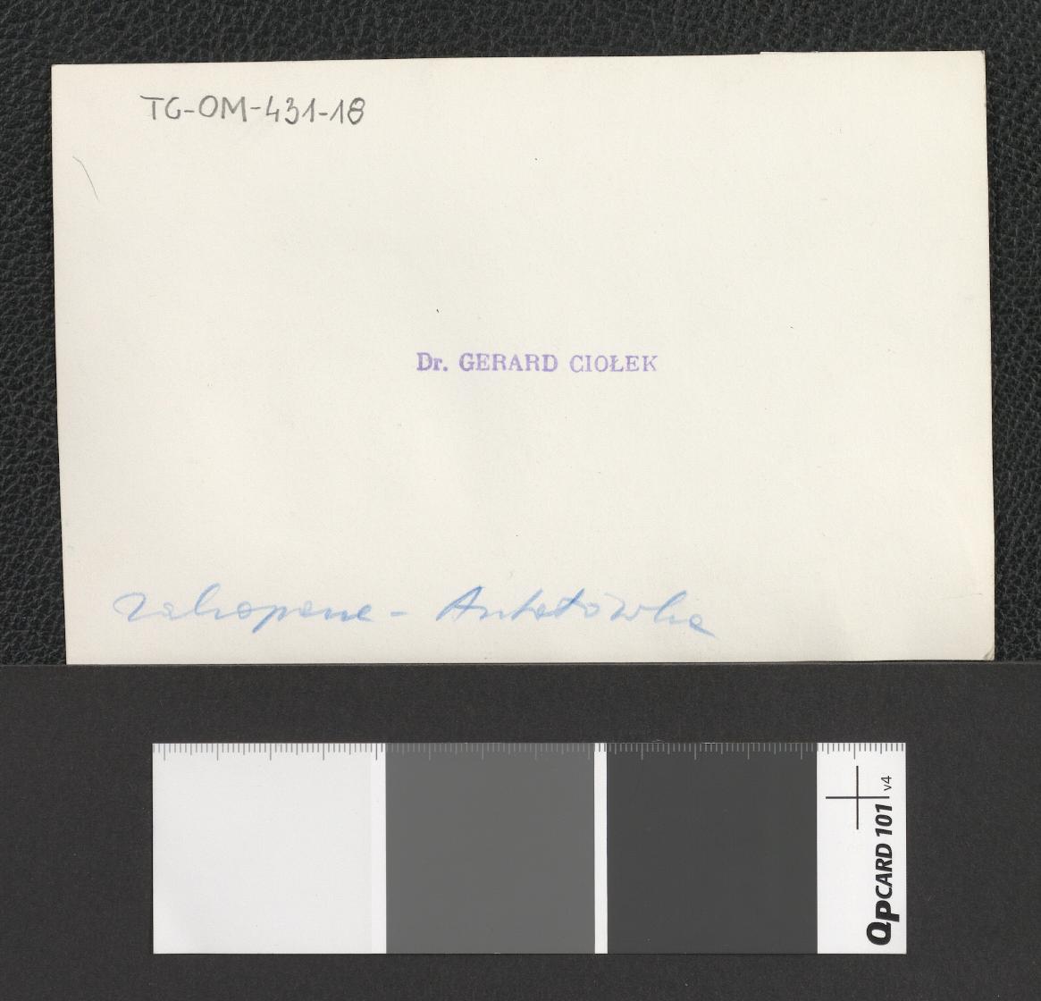 pejzaże Tatr zimą (dwie fotografie dwubarwne), skan 2