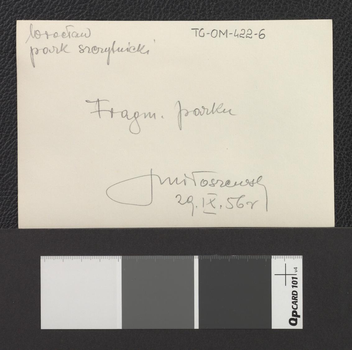 fragmenty miejscowego parku (dwie fotografie dwubarwne z 29 września 1956 roku), skan 4
