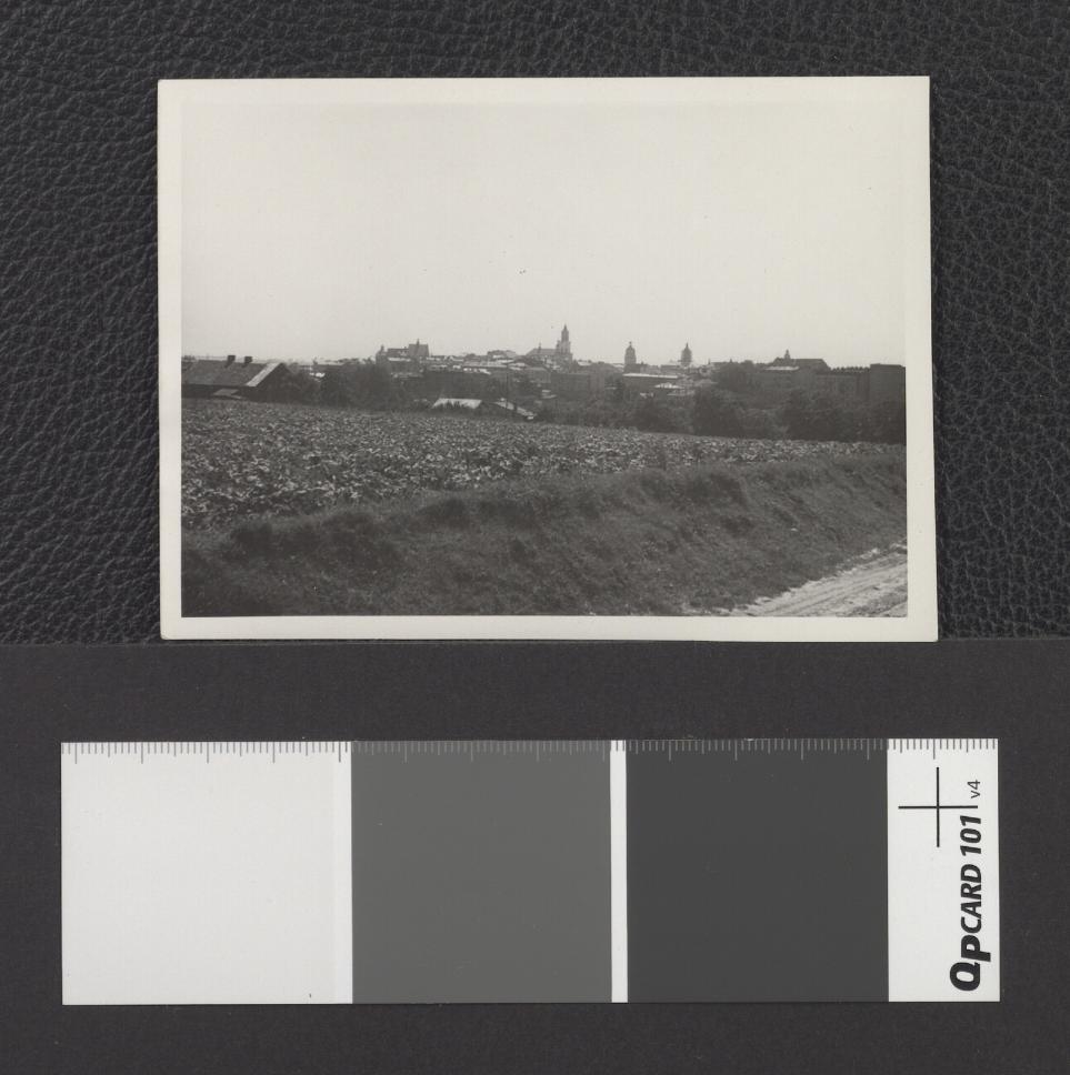 panorama Lublina od północnego-wschodu, skan 1