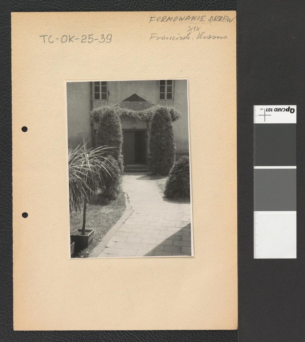 wirydarz miejscowego klasztoru , skan 5