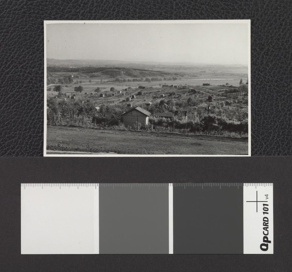 widok miejscowych działek, skan 1