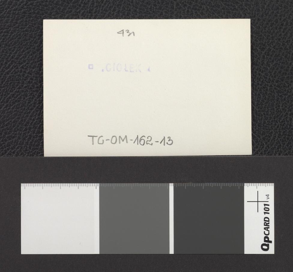 widok miejscowych działek, skan 2