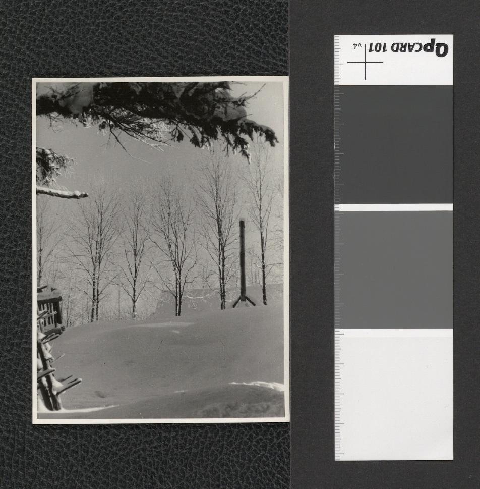 okolice Zakopanego (fotografie dwubarwne), skan 7