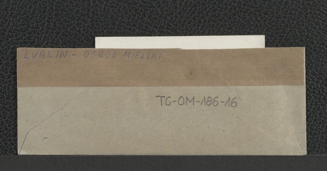 fotografia dwubarwna planu Parku Ludowego wraz z negatywem zawierającym także inne zdjęcia, skan 1