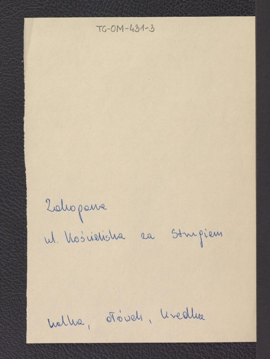 karty opisowe do usuniętych planów poszczególnych fragmentów Zakopanego, skan 9