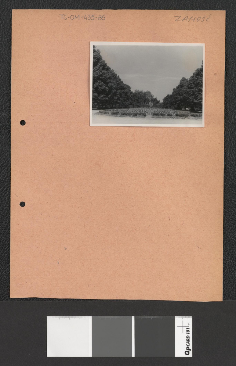 fragment parku (odbitki dwubarwnej fotografii), skan 1