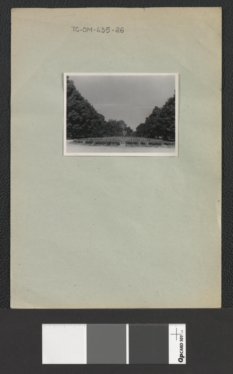 fragment parku (odbitki dwubarwnej fotografii), skan 2