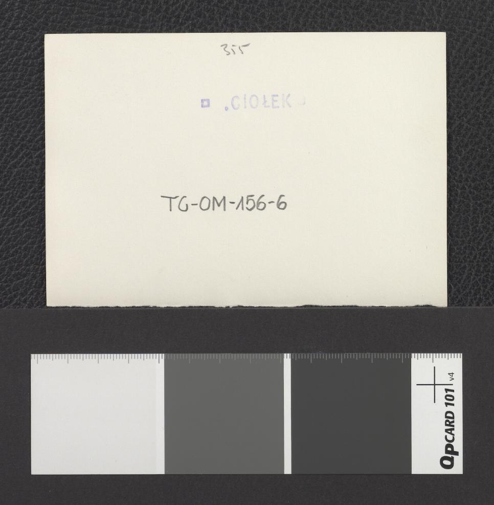 widoki okolicy miejscowego parku, skan 7