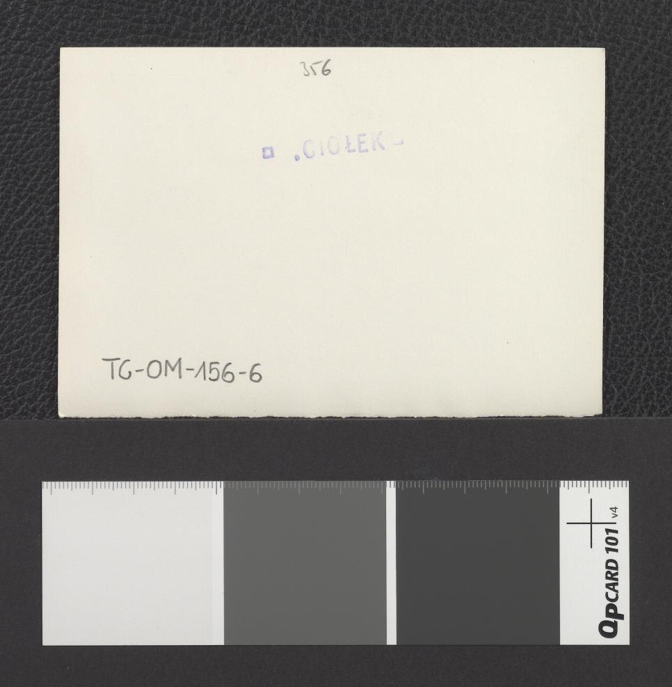 widoki okolicy miejscowego parku, skan 9