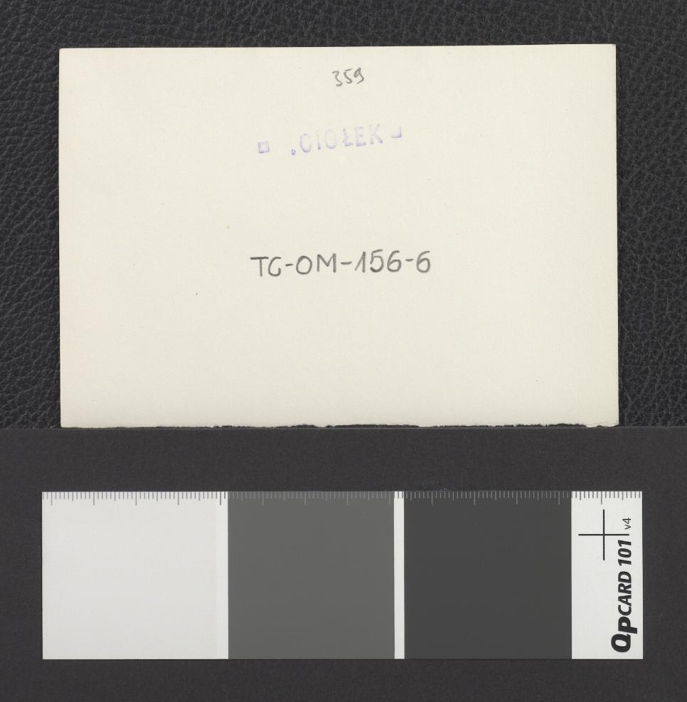 widoki okolicy miejscowego parku, skan 13