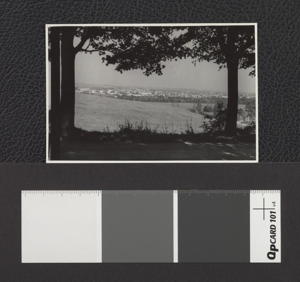 widok Krakowa z wnętrza lasu, skan 1