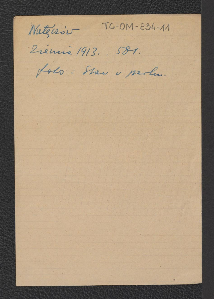 odnośnik bibliograficzny („Ziemia”, 1913, strona 581) wzmiankujący reprodukcję fotografii miejscowego stawu w parku, skan 1
